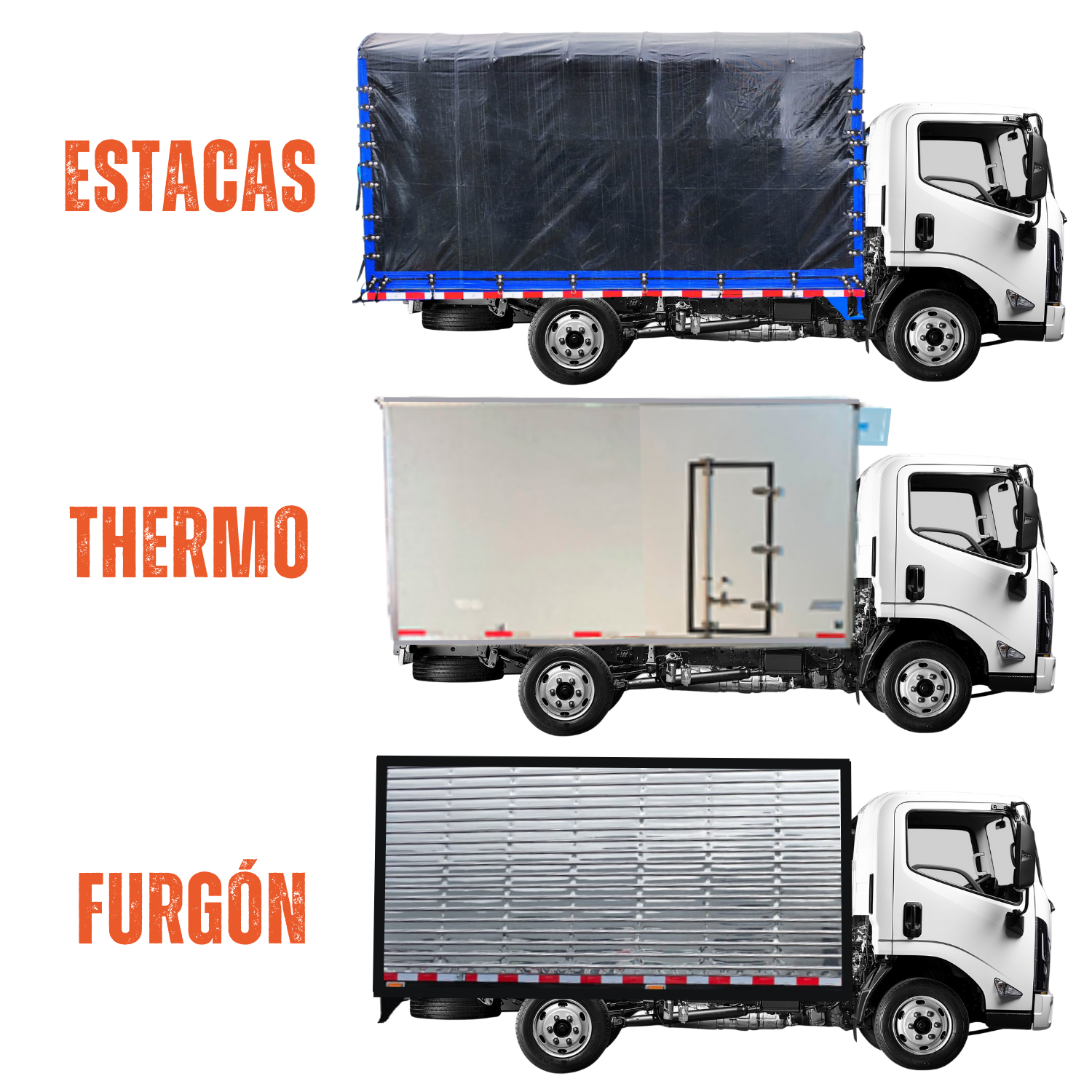 
								JMC CHR CARRING PLUS full									