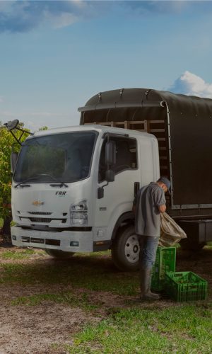 Medidas-Interna-FRR-Extendida-Euro-VI-Interno-3-1-1